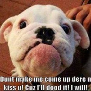 Meet your Posher, Oliver